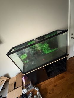 Fish Tank / reptile tank