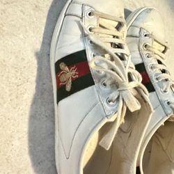 Gucci  Women’s ace Sneakers 