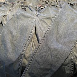 22 pairs of Gloria Vanderbilt Women's Classic Tapered Amanda Jeans