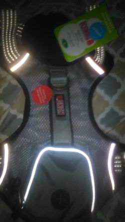 Dog Kong harness