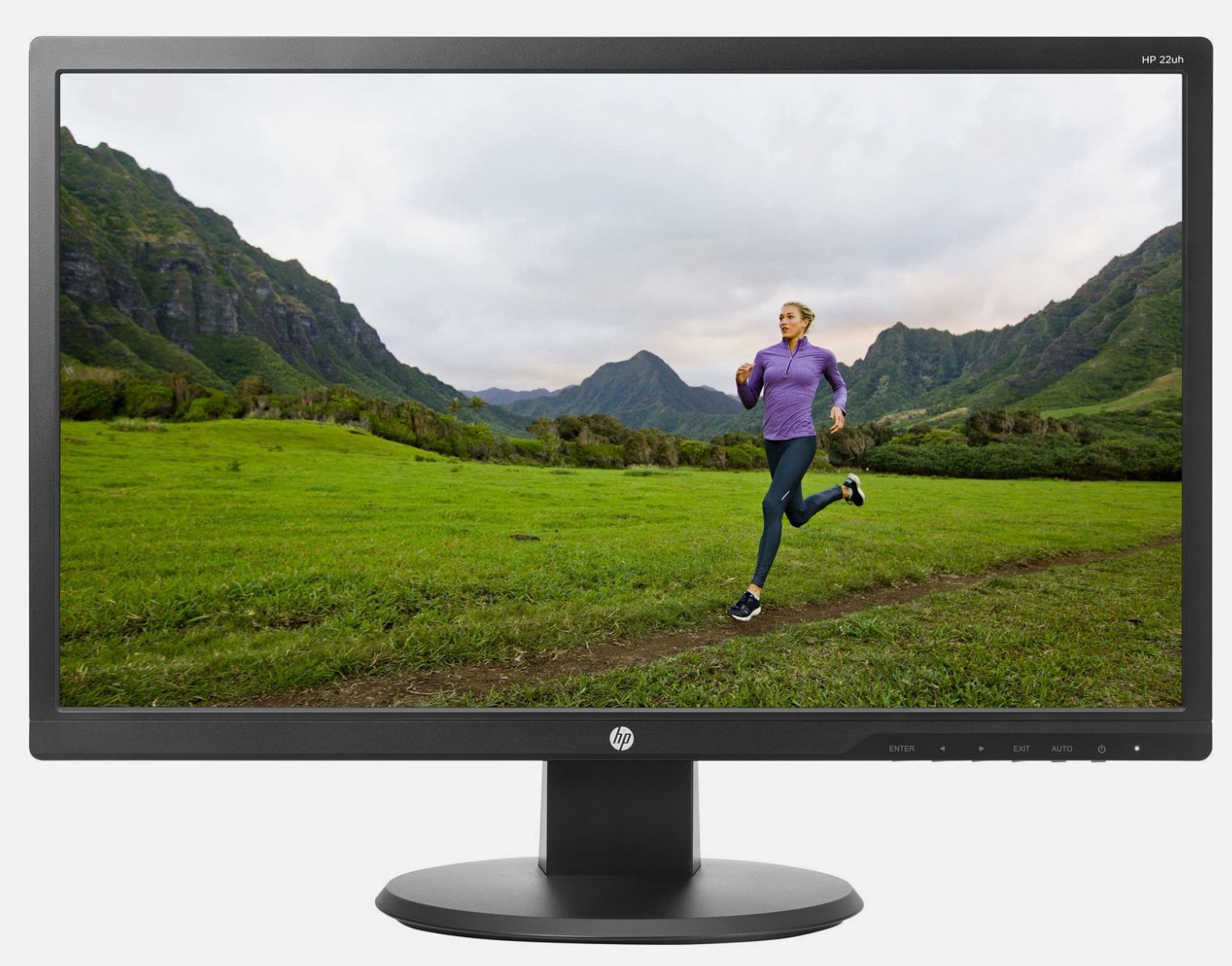 HP 22uh Computer Monitor