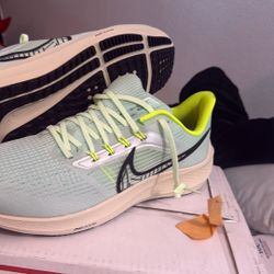 MEN'S NIKE PEGASUS 39 RUNNING SHOES