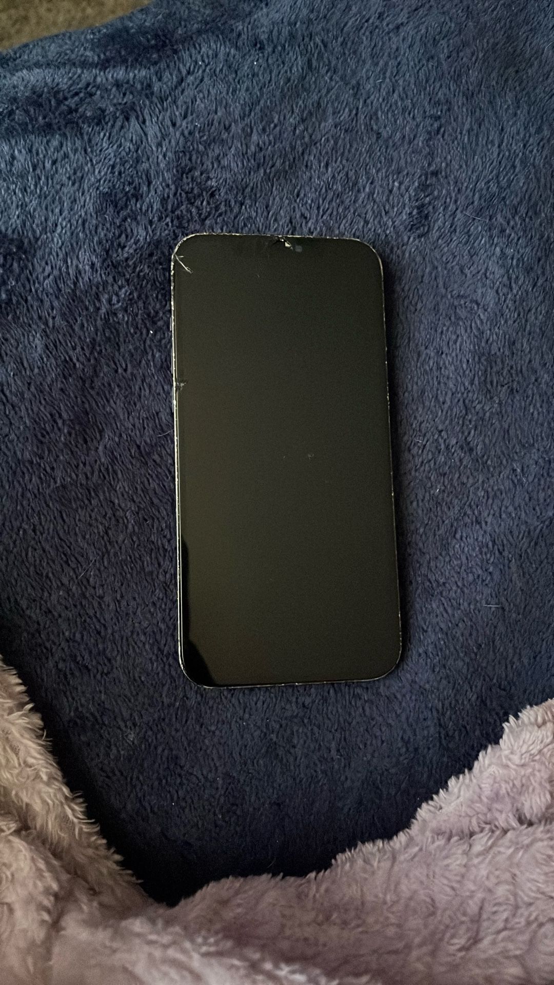 iphone 12 pro max for the GO