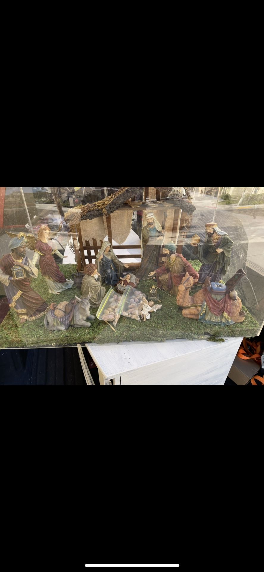 Nacimiento En Buenas Condiciones