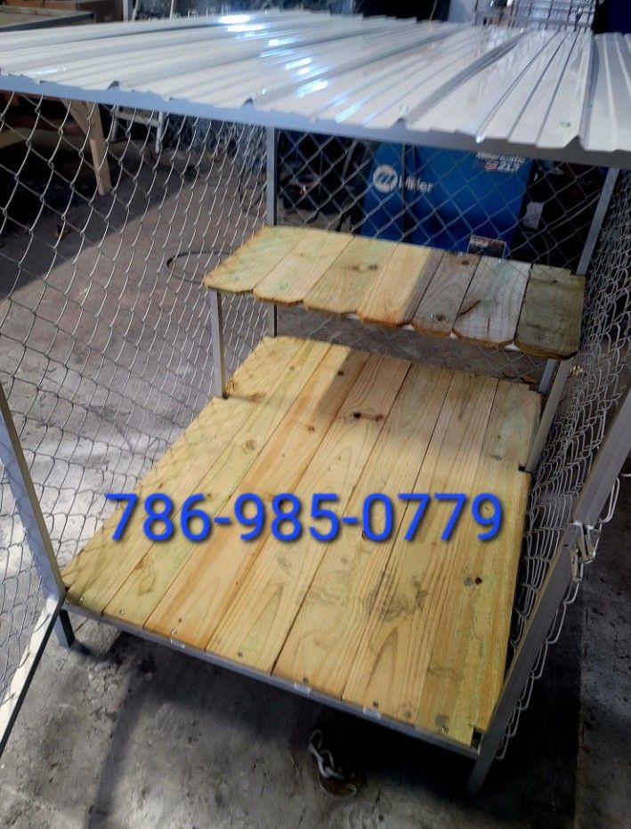 Dog Kennels Florida