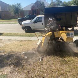 STUMP GRINDING
