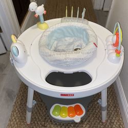 Skip Hop Activity Center 
