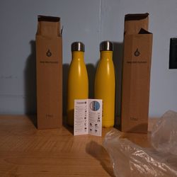 17 Oz Thermal Water Bottles (Set Of 2)
