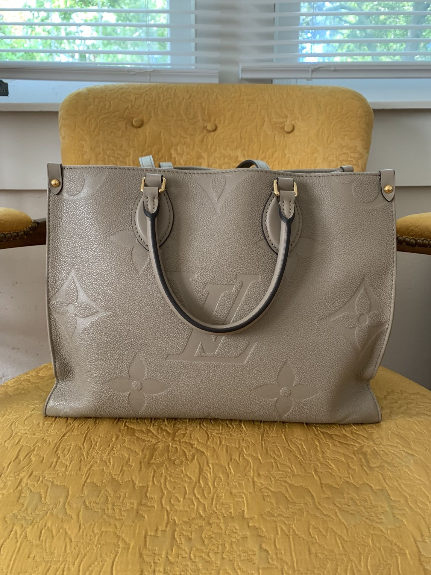 Louis Vuitton Authentic Bag
