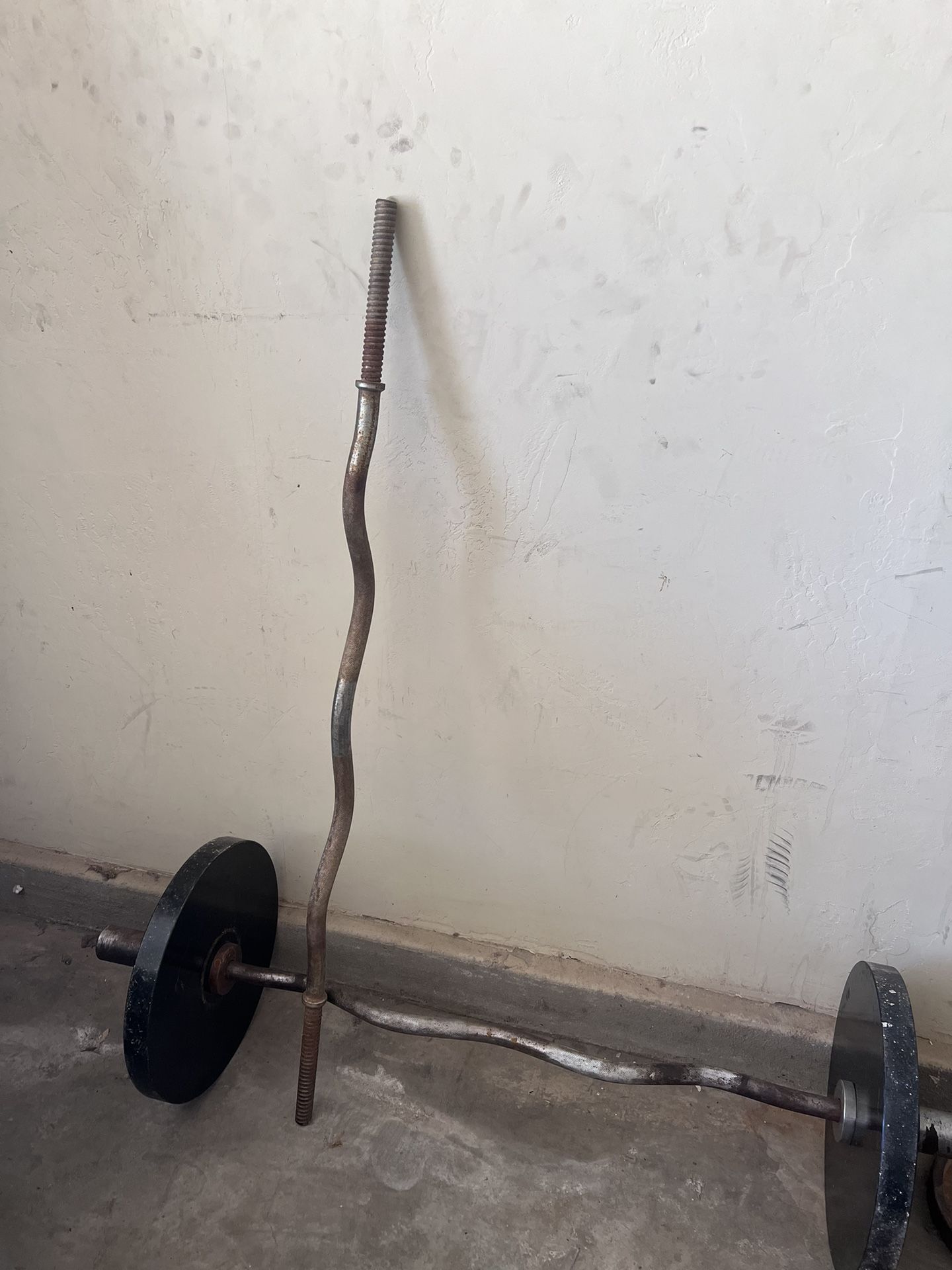 50 Lb Curl Bars