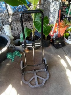 Folding Dolly