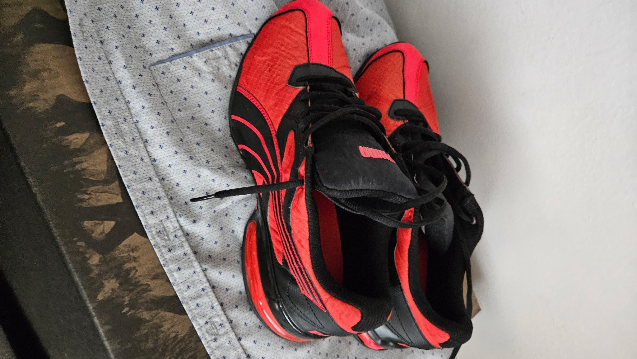 Pumas