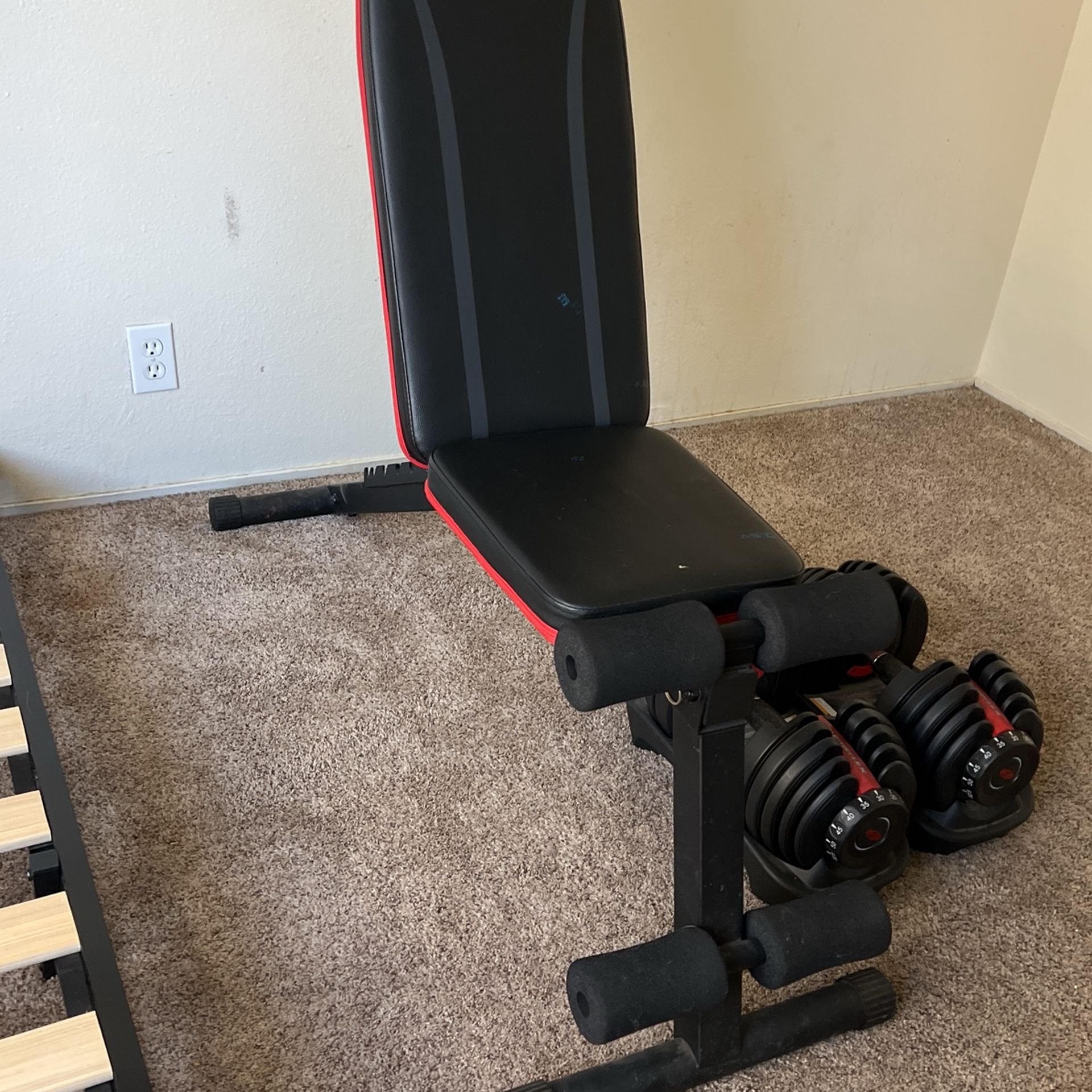 Pasyou Bench Bowflex Dumbells - Main Image