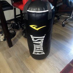 Everlast Punching Bag