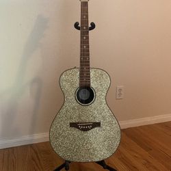 Daisy Rock Acoustic Guitar 