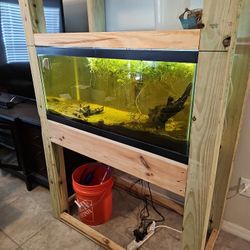 40 Gallon Breeder Fishtank
