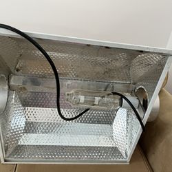 HPS Light With Fixture 