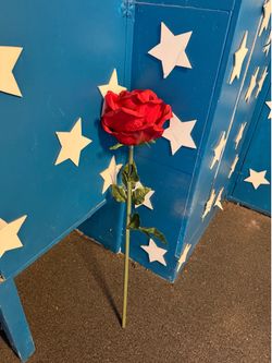 Giant red rose