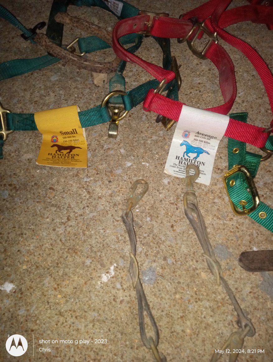 Horse Lead Lines Bridles And Various Other Harmess'