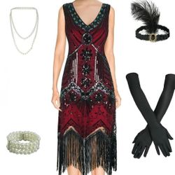  1920'S FLAPPET DRESS COSTUME!