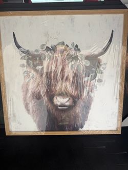 Highland Cow Gallery Wood Wall Decor Set
