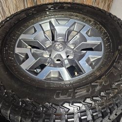 Toyota Tacoma TRD Off Road Wheels On 265/75R16 Falken Rubitrek Tires. 