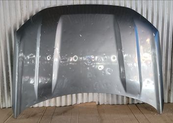 2021-2024 Ford Bronco Sport Hood OEM