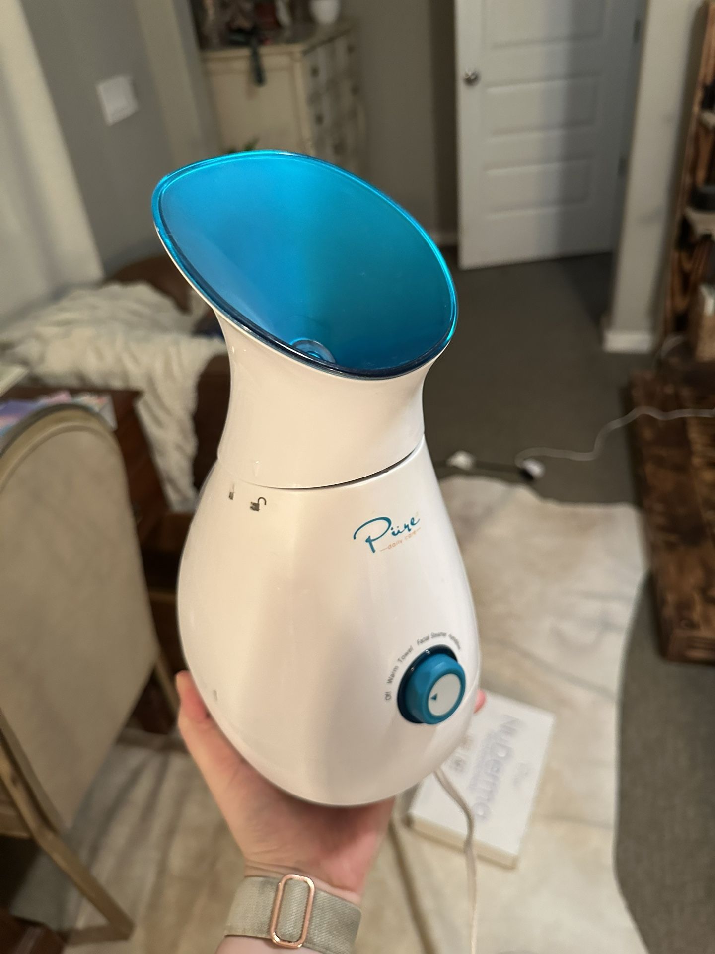 Pure Face Steamer