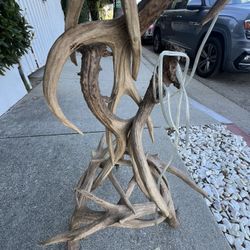 Deer Antler Lamp 