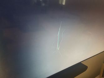 Samsung 75” U8000 TV - Broken screen FREE
