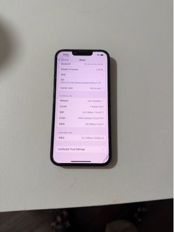 iPhone 13