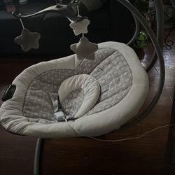Baby Swinger