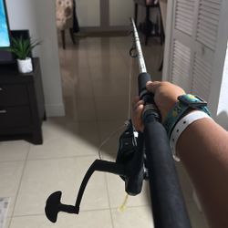Fishing Rod 