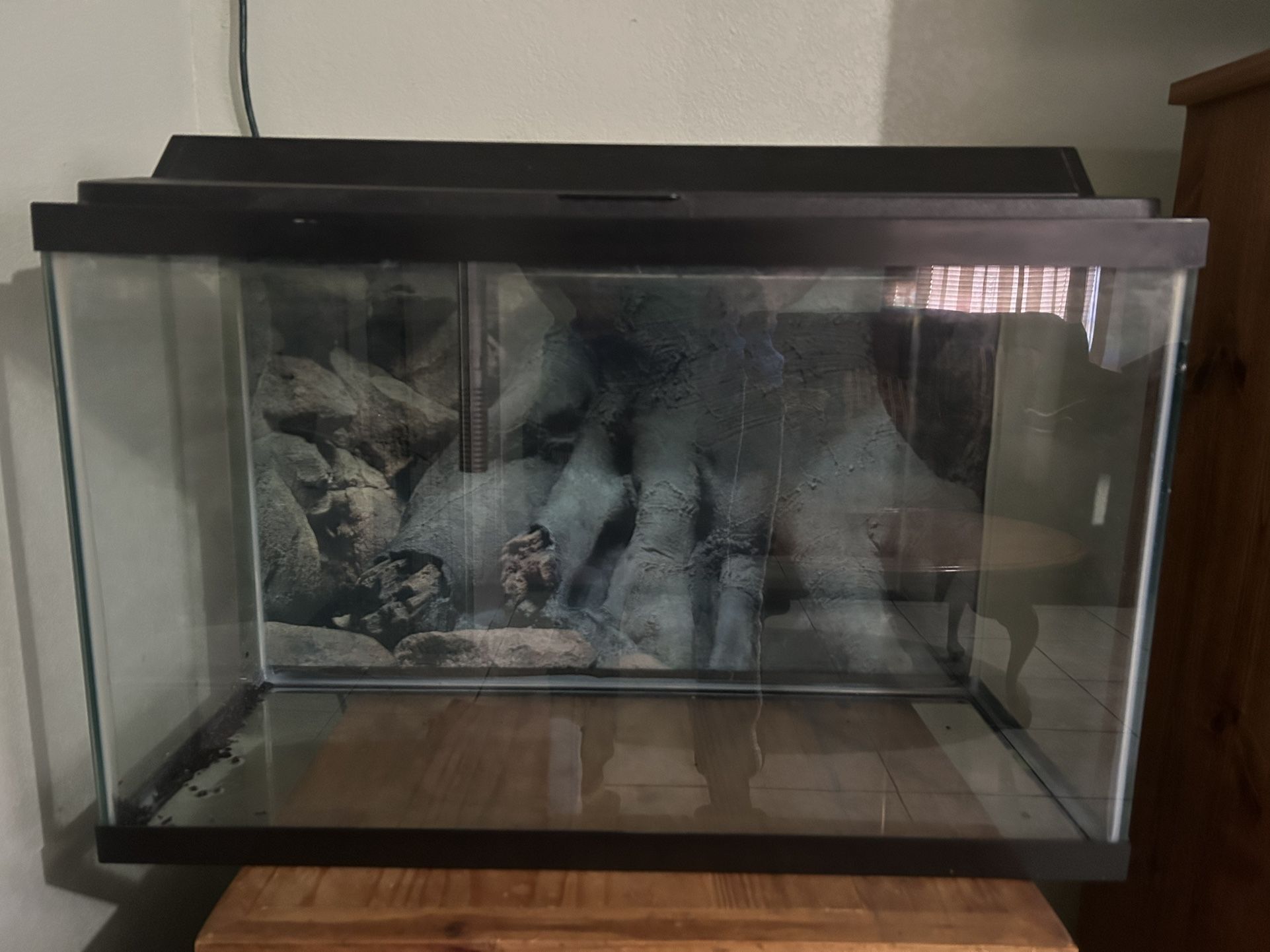 29 Gallon Tank