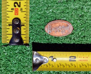 Nevada State Tree Bristlecone Pine Commemorative Oval Stamped Stretch Token EUC