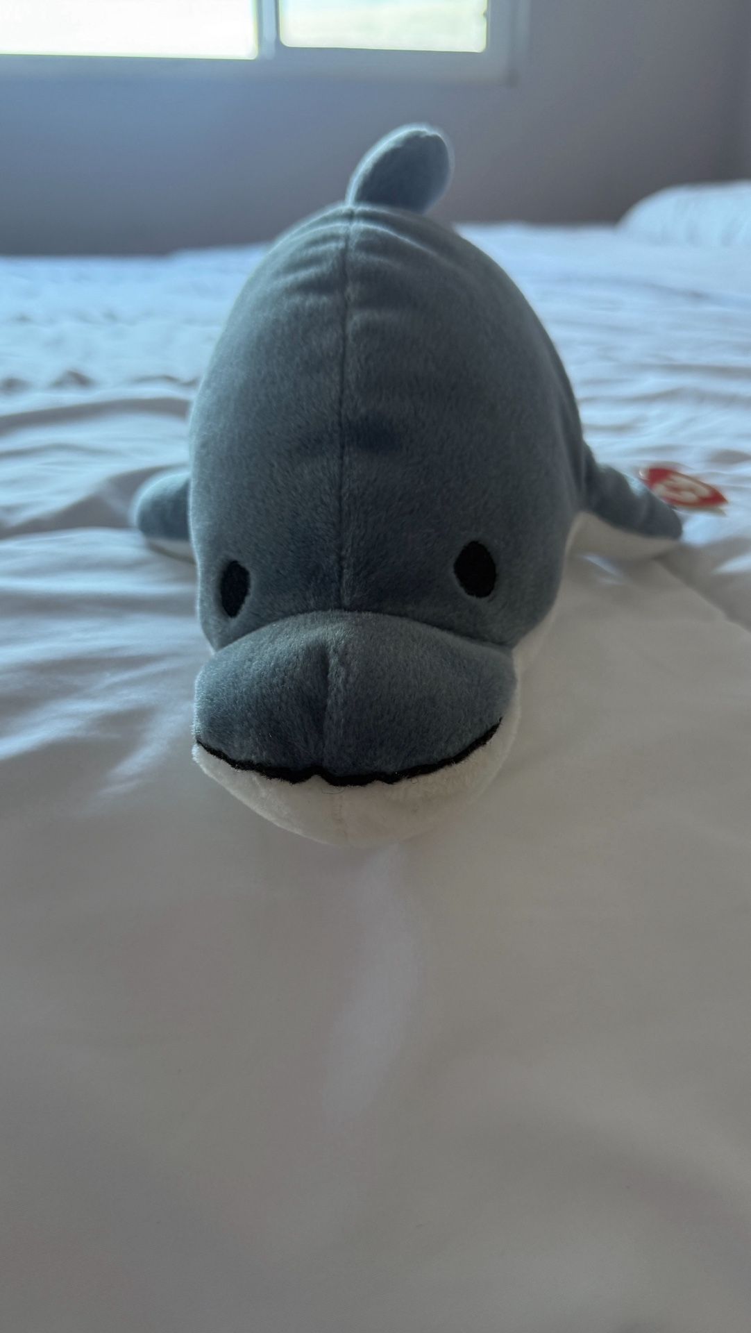 TY INC. Echo the Dolphin - Beanie Babies