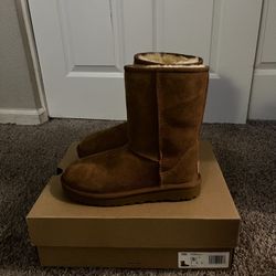 Size 5 Uggs