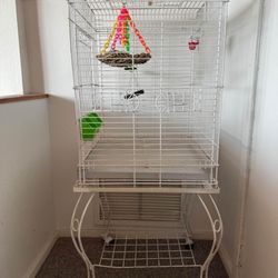 Birdcage 