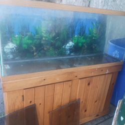 Fish Tank And Stand
