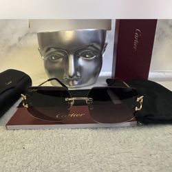 !! Cartier Shades - Comes With Box And Papers Brand New !!
