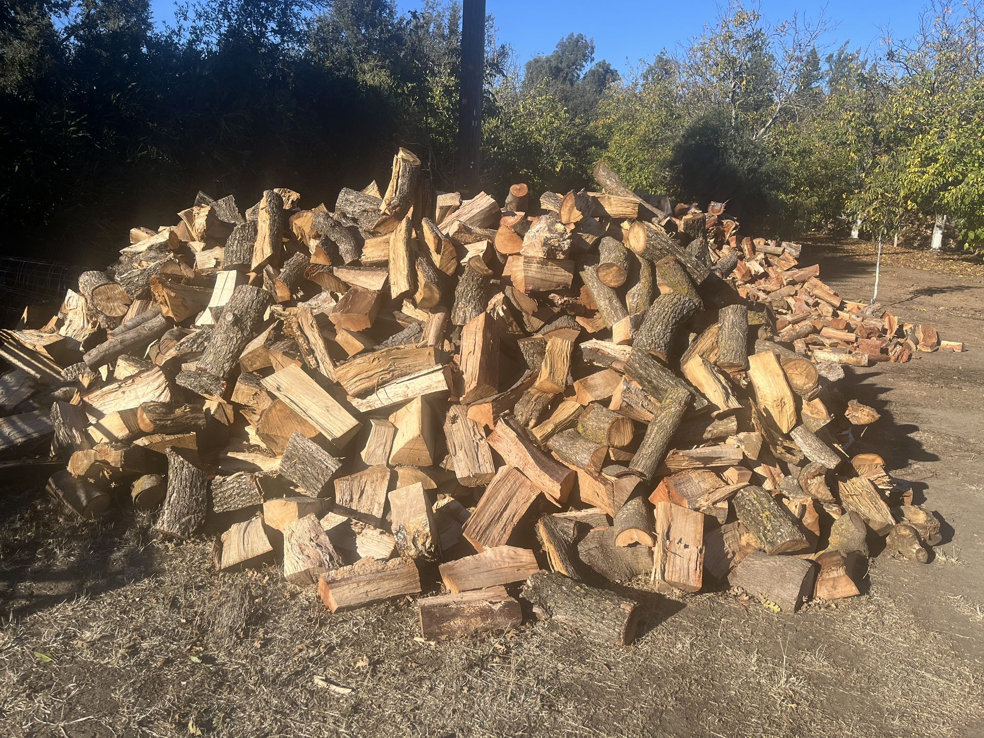 Seasoned Firewood πͺ΅ π₯