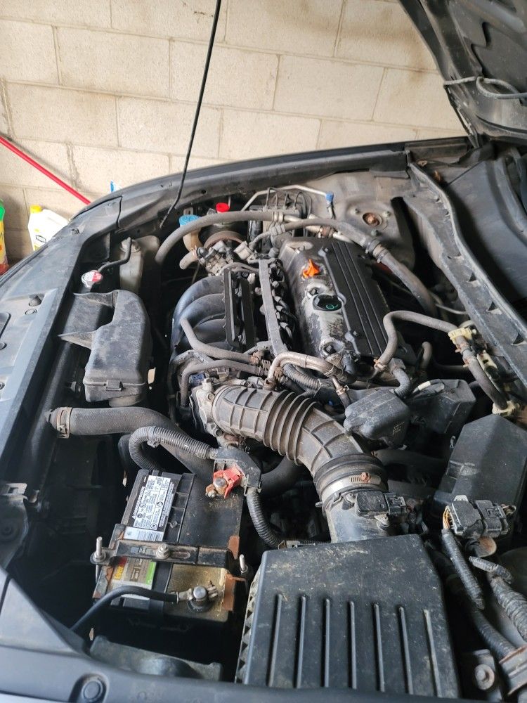2010 Honda Accord