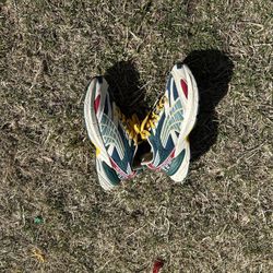 Pumas