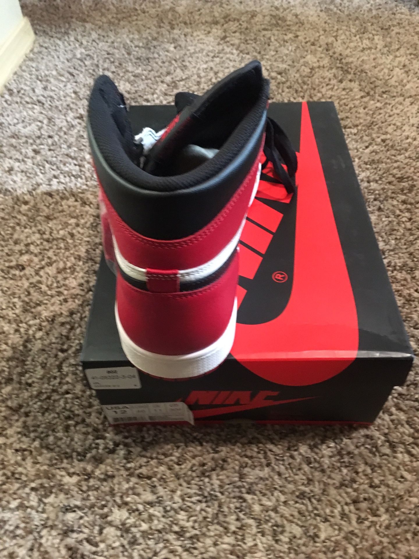 Air Jordan 1 retro high 0g Size 12