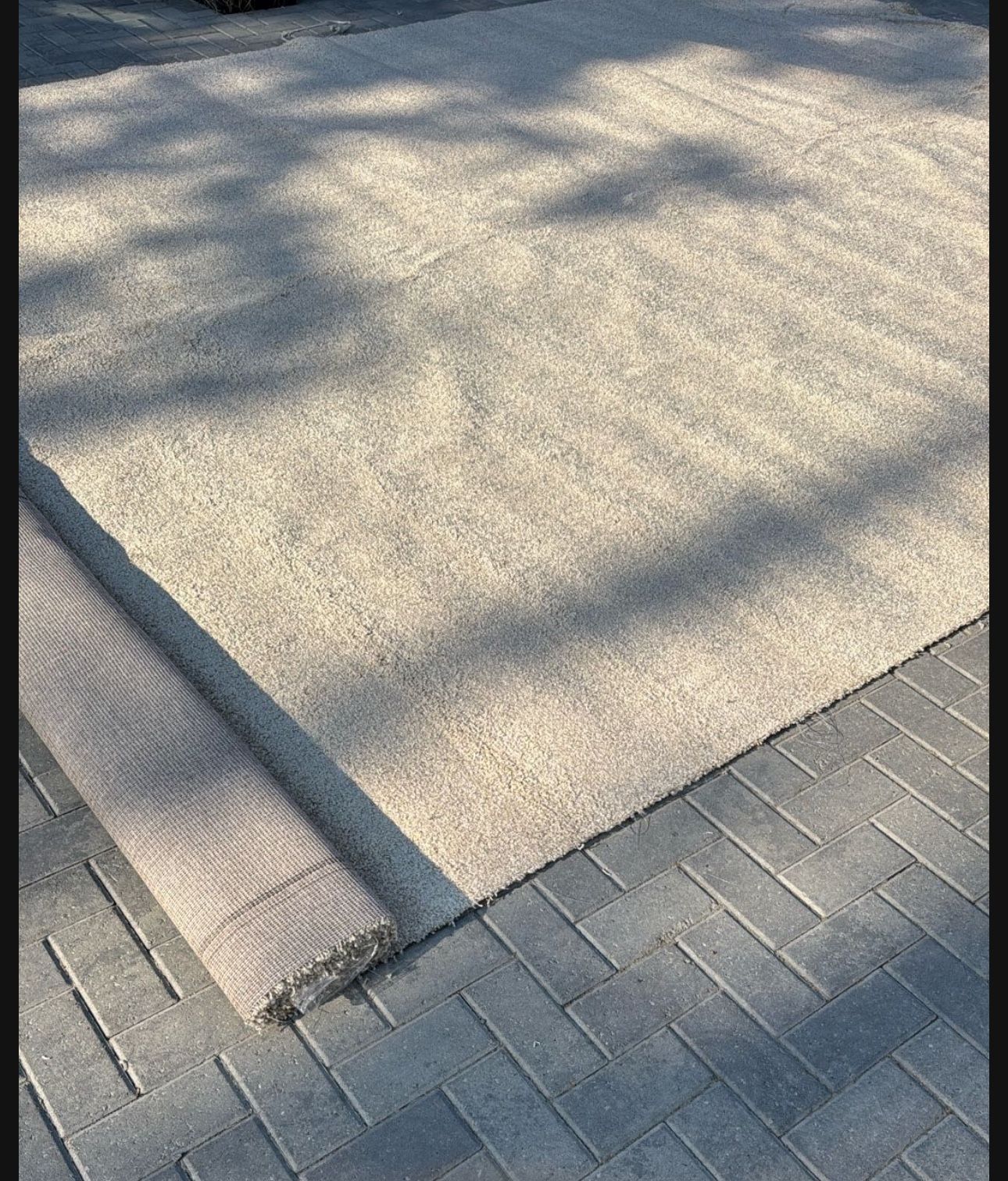 Brand new carpet 12x22.6 feet