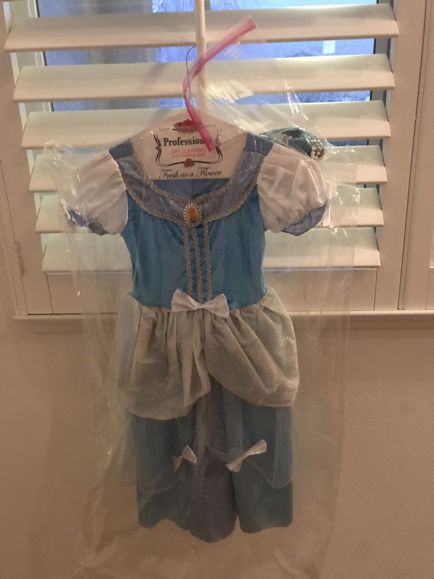 Cinderella costume dress with accessories