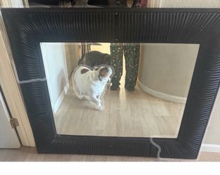Large black heavy hanging mirror