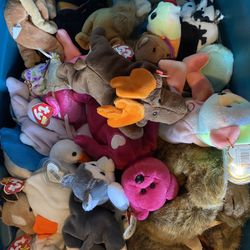 Various Beanie Babies 