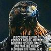 Juan M .m
