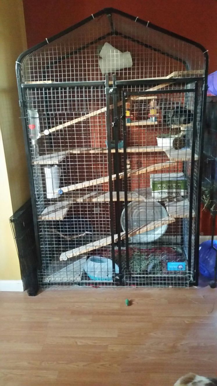 HUGE Chinchilla , Bird or Ferret cage